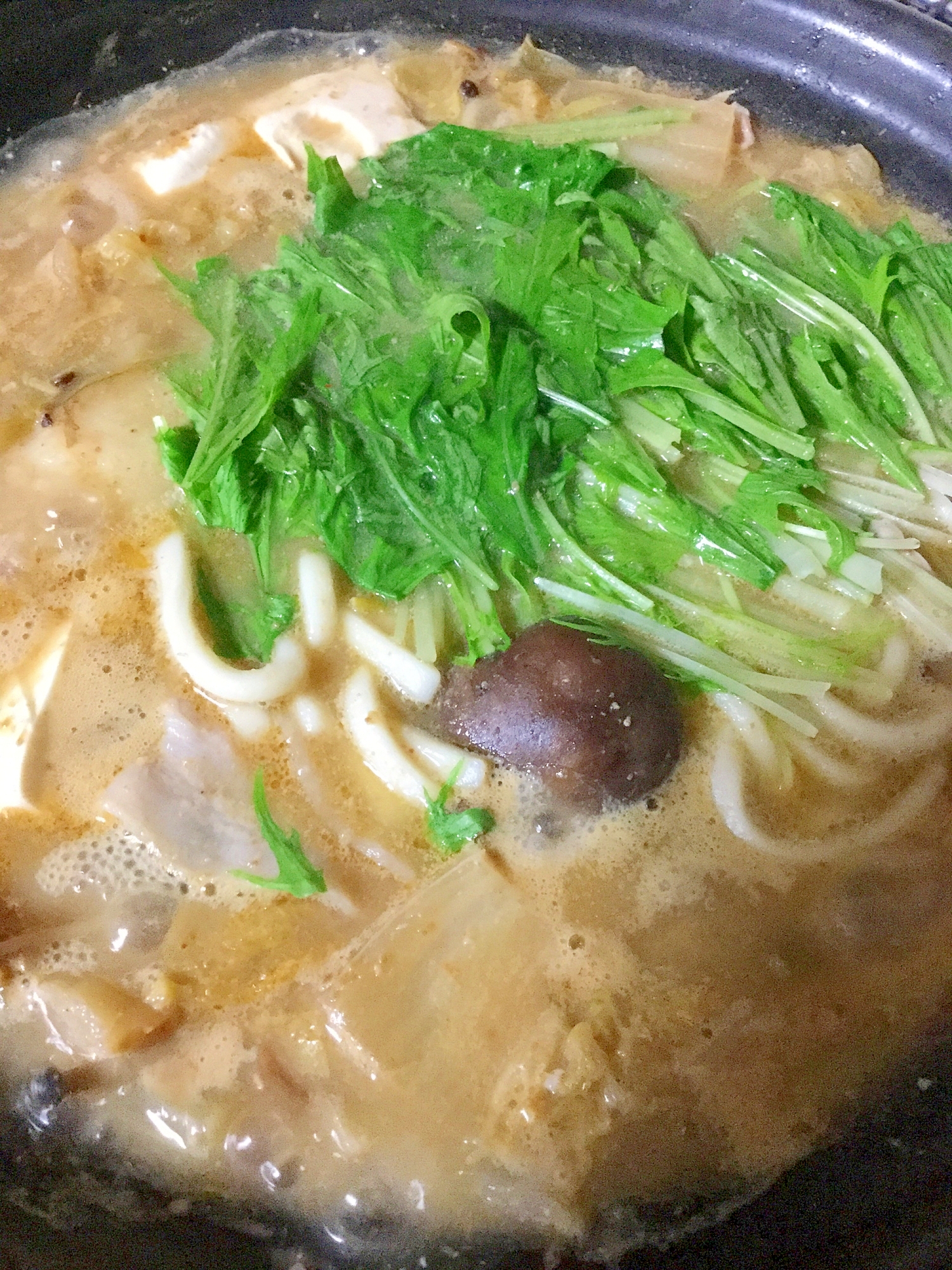 ゴマ味噌味のうどんすき