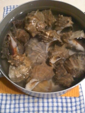 ボイルにし貝 レシピ 作り方 By テツオ63 楽天レシピ ボイルにし貝 レシピ 作り方 By テツオ63 楽天レシピ