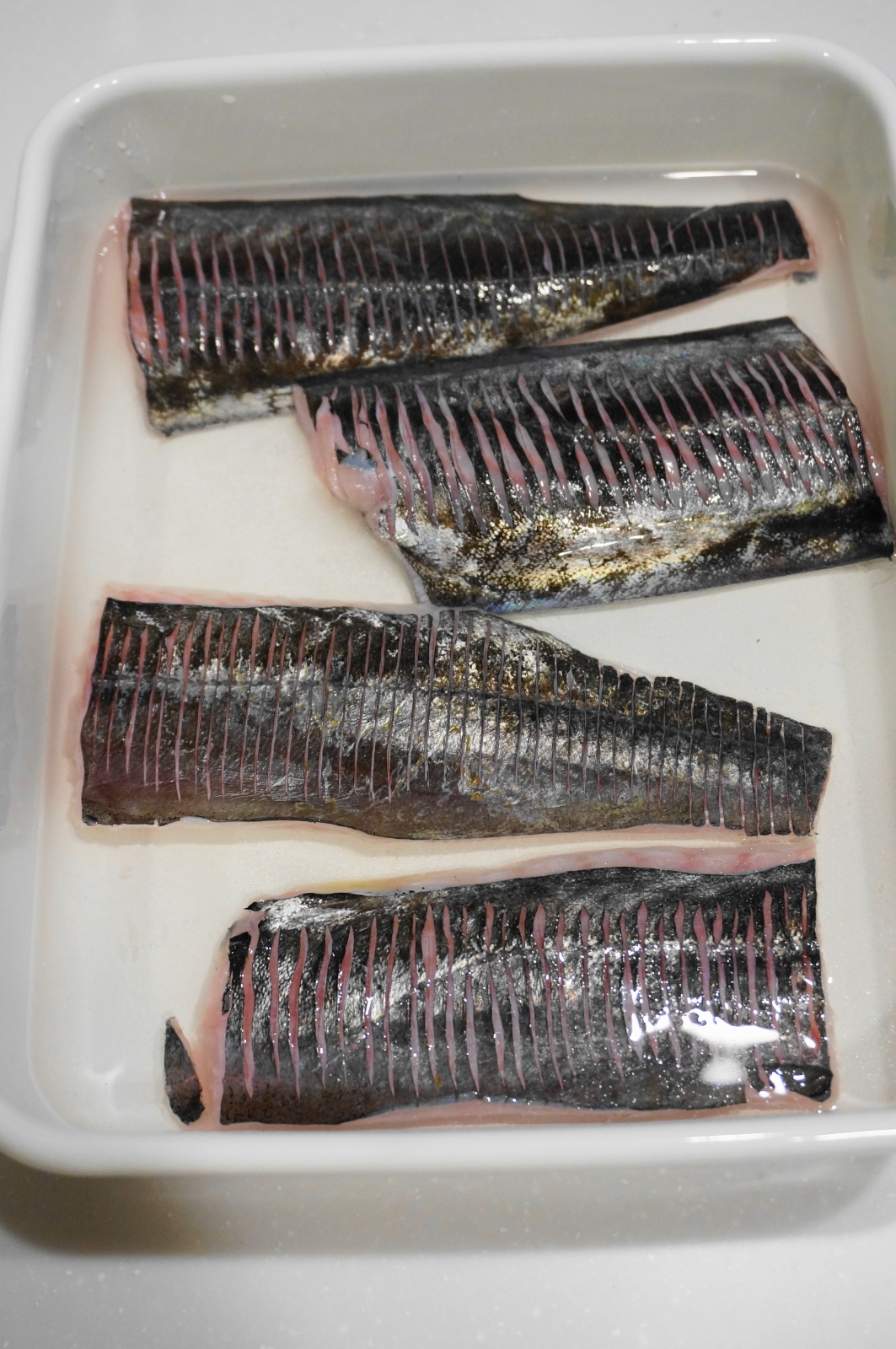 市場に出回らない珍しい魚 スミヤキの塩焼き レシピ 作り方 By Oppeke22 楽天レシピ 市場に出回らない珍しい魚 スミヤキの塩焼き レシピ 作り方 By Oppeke22 楽天レシピ