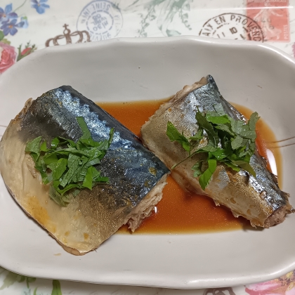 生鯖があったら？シンプルな煮つけが良いんじゃない？