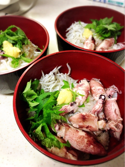 ヒイカとシラスの丼ご飯・ふっくら下ごしらえ