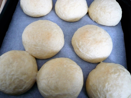 薄力粉で手作り白パン！