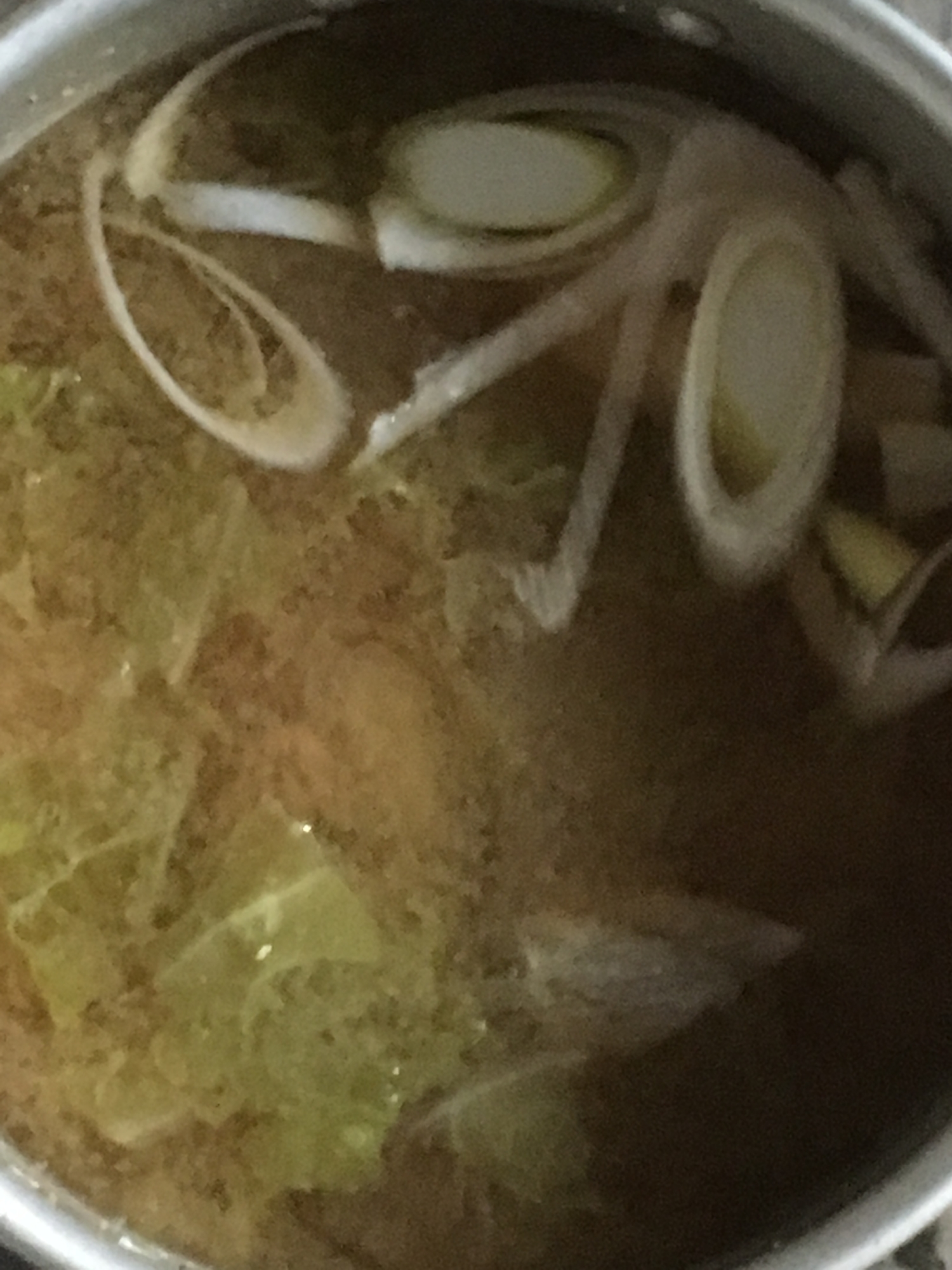 ネギ、白菜、煮干しの味噌汁