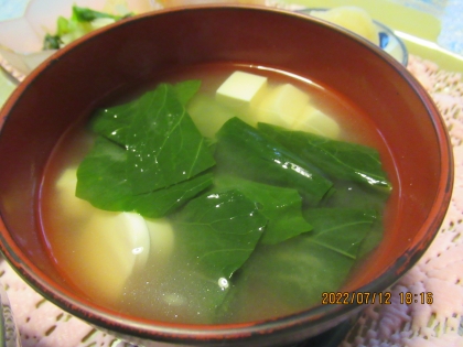 小松菜と小揚げと豆腐の味噌汁