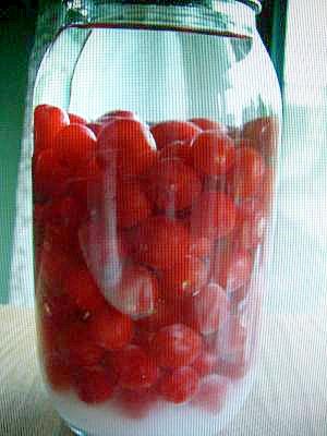 ユスラウメの果実酒