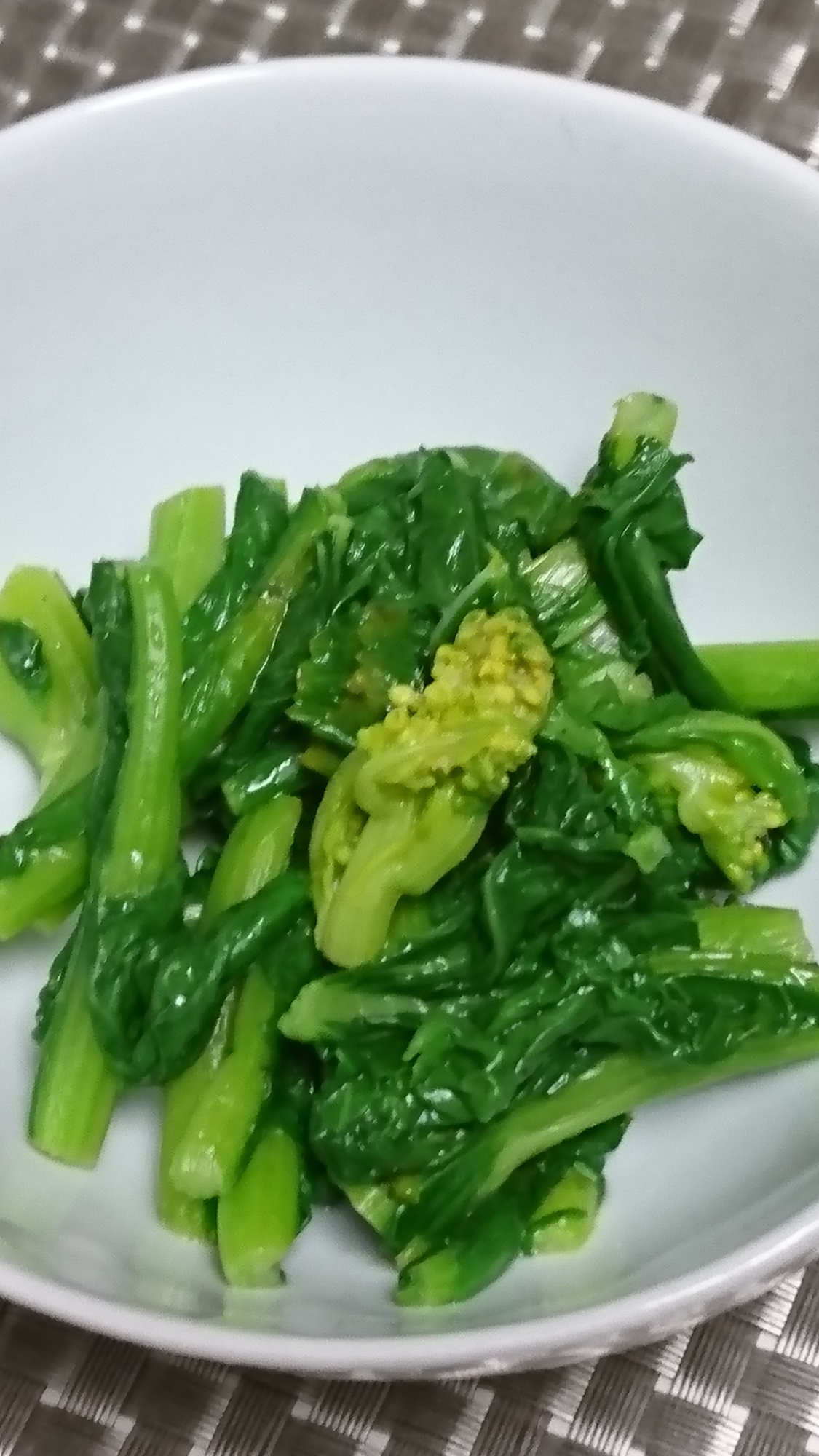 福井の伝統野菜 勝山水菜 の辛子和え