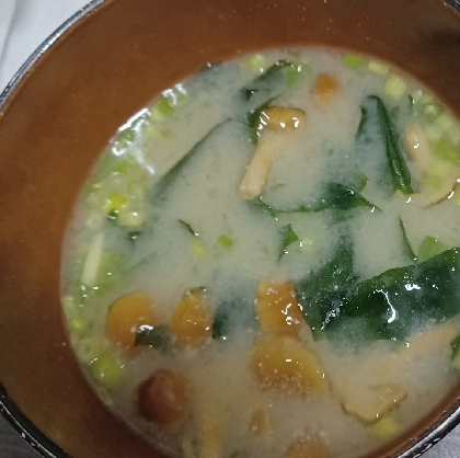 ˚₊‧なめこのお味噌汁˚₊‧