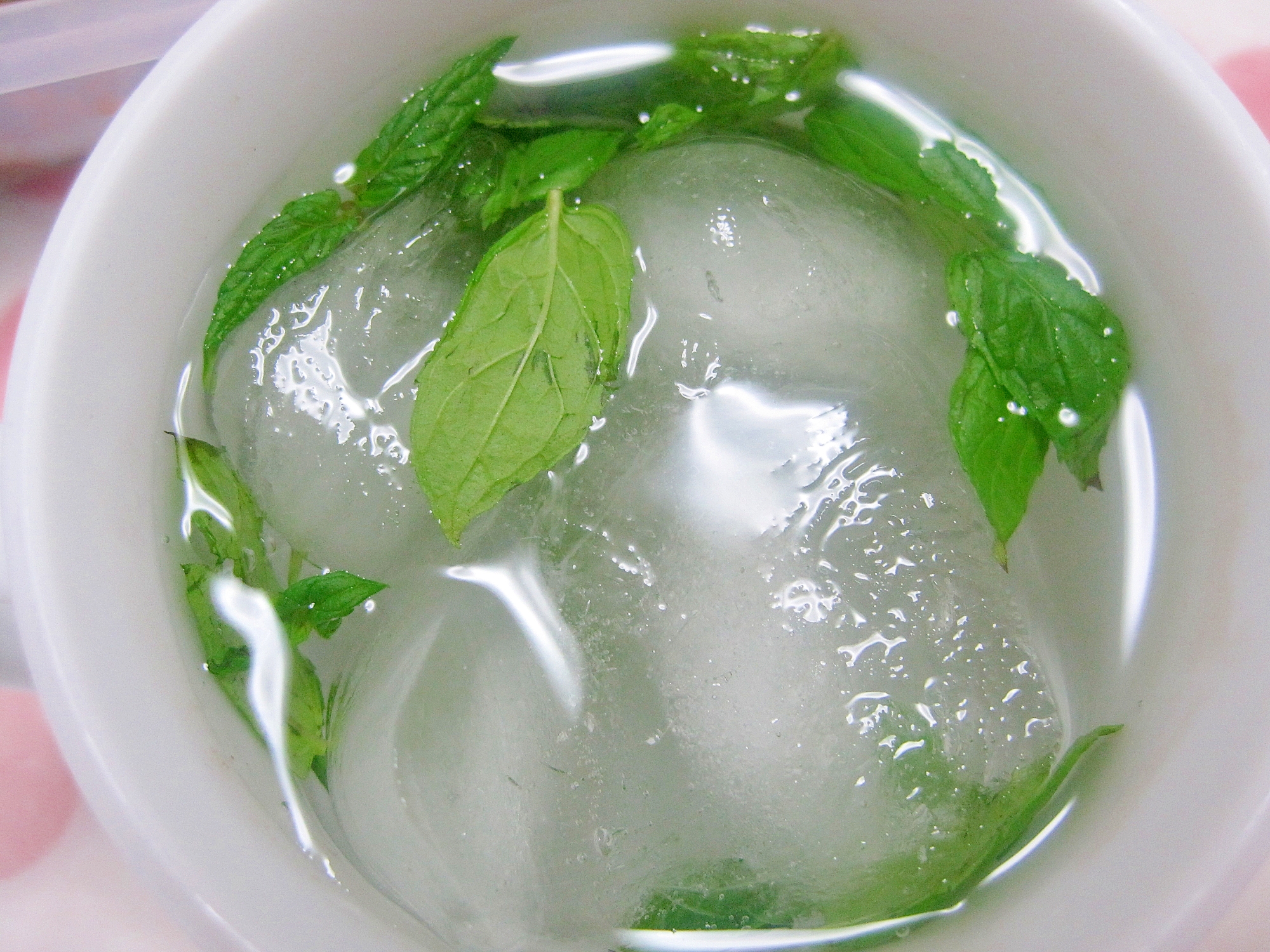 レモンバームティー レシピ 作り方 By Yukkiy8 楽天レシピ レモンバームティー レシピ 作り方 By Yukkiy8 楽天レシピ