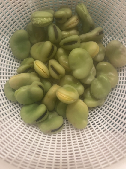 空豆の茹で方