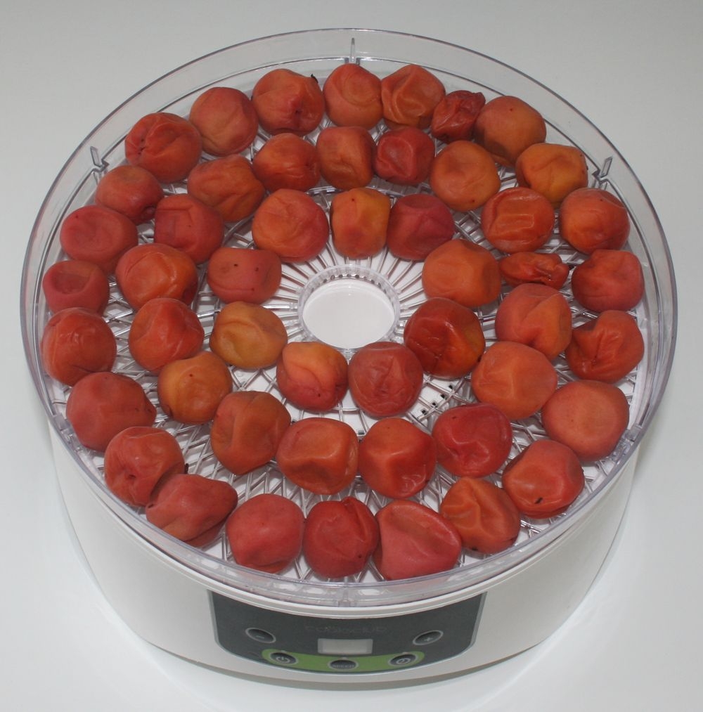 簡単 スピード乾燥 食品乾燥機で梅干し レシピ 作り方 By 楽天出店店舗 ウミダスジャパン 楽天レシピ 簡単 スピード乾燥 食品乾燥機で梅干し レシピ 作り方 By 楽天出店店舗 ウミダスジャパン 楽天レシピ