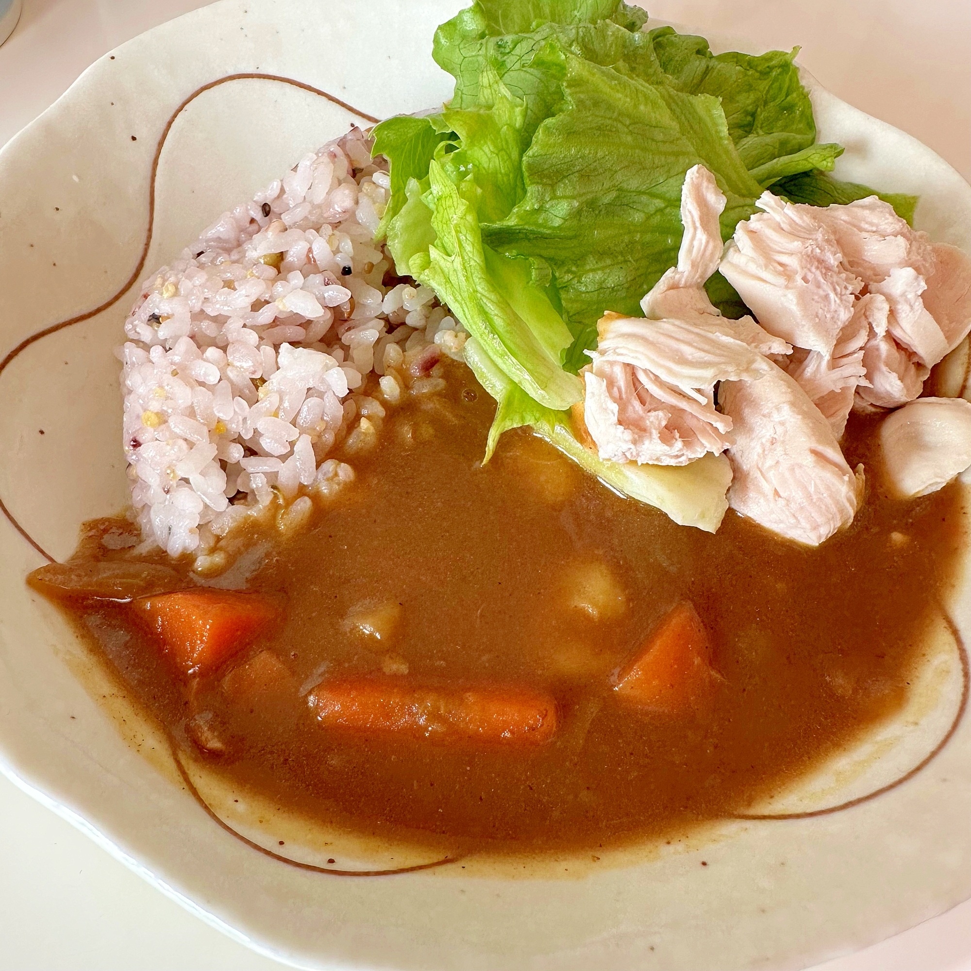 ささみトッピングカレー ⑅୨＊୧⑅