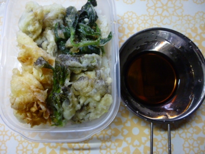 山菜の天ぷら、普段は塩ですが、たまには天つゆで。簡単に美味しくできました。ごちそうさまです♪