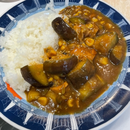 ゴーヤとパプリカと茄子と鶏肉の夏カレー☆