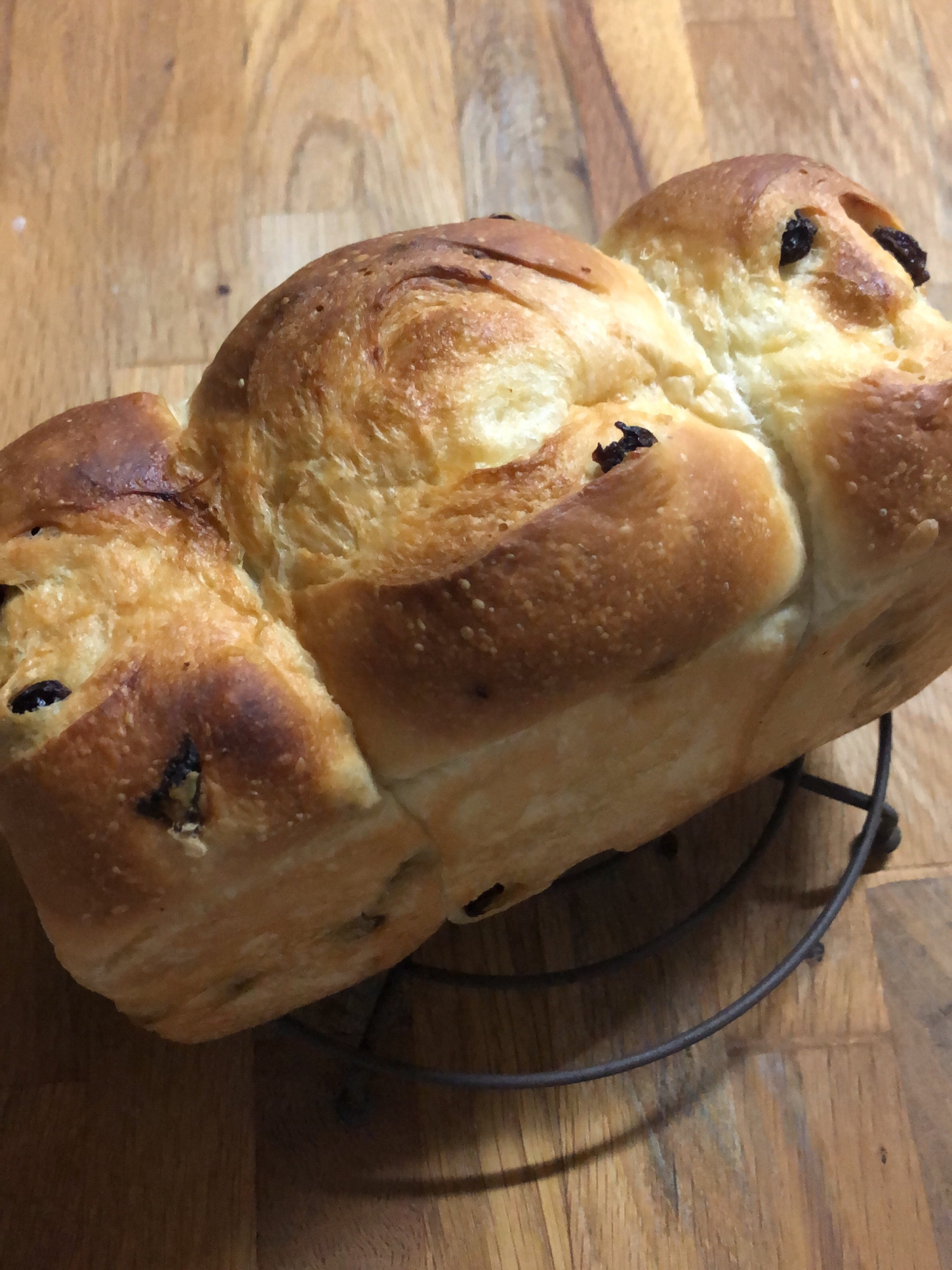 レーズン食パン　ぶどうパン