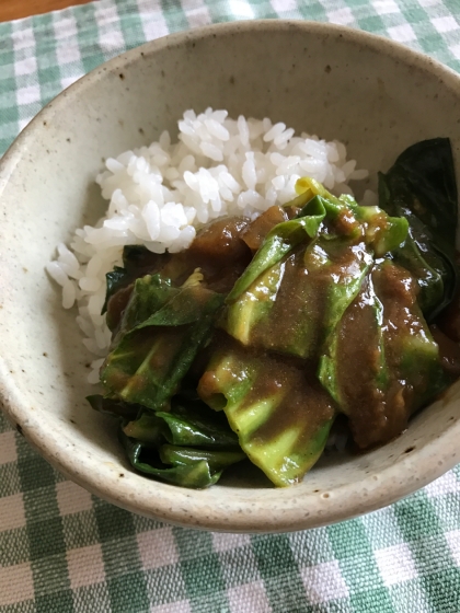 春キャベツのカレー