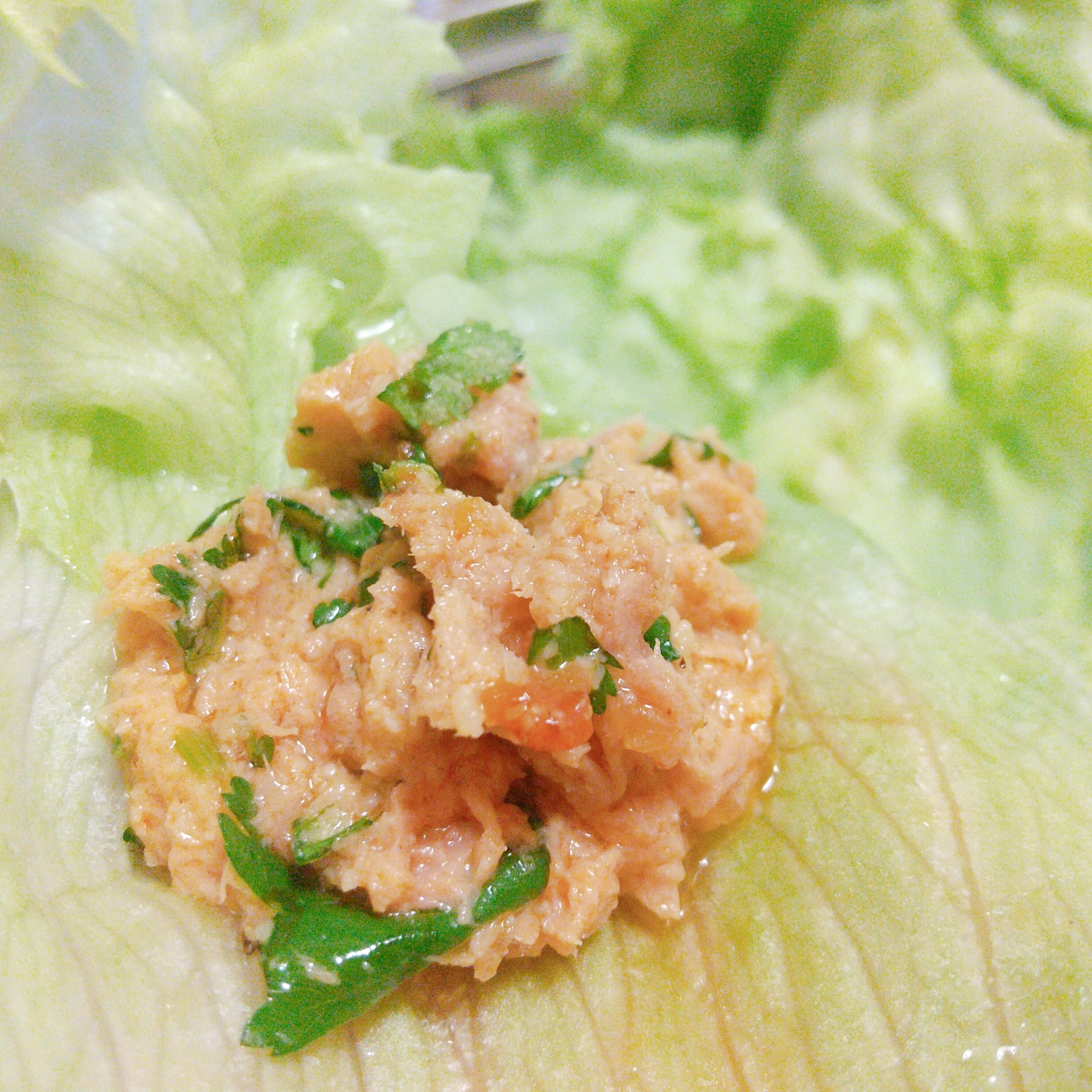 サルサソース＋ツナ缶アレンジのレタスサラダ