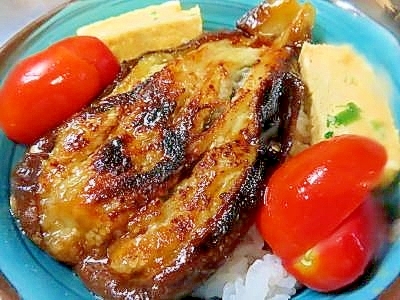 レンチンでナスの皮付きトロフワ蒲焼き丼