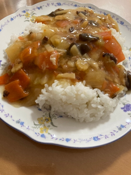 冷蔵庫の残りで　ショウガの効いてる中華丼