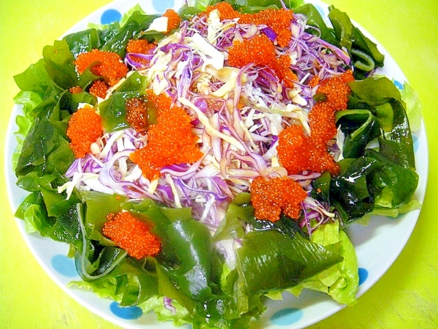 千切りキャベツとワカメとびっこの和風サラダ レシピ 作り方 By Mint74 楽天レシピ