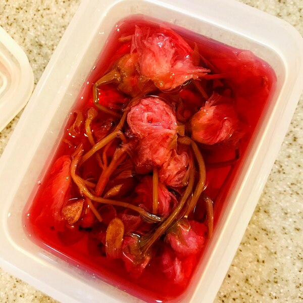 桜の花の梅酢漬け レシピ 作り方 By Coffeelake 楽天レシピ 桜の花の梅酢漬け レシピ 作り方 By Coffeelake 楽天レシピ