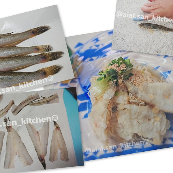 鯊 ハゼ 捌き方 さばき方 レシピ 作り方 By 愛愛さん 基本画像レシピ Instagramも同じ 楽天レシピ 鯊 ハゼ 捌き方 さばき方 レシピ 作り方 By 愛愛さん 基本画像レシピ Instagramも同じ 楽天レシピ