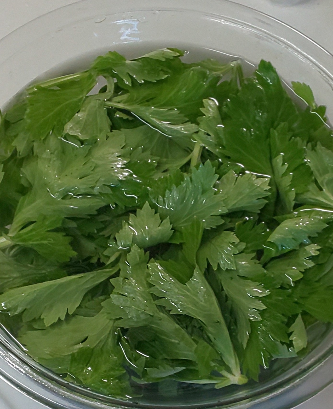 ☆セロリの葉のあく抜き☆