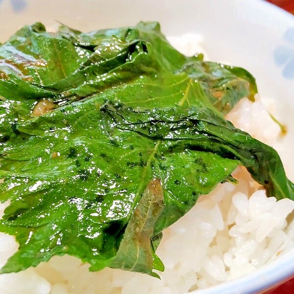 合法 大葉のしょうゆ漬け 葉っぱちゃん レシピ 作り方 By ゆるふわ典座のひろさん 楽天レシピ 合法 大葉のしょうゆ漬け 葉っぱちゃん レシピ 作り方 By ゆるふわ典座のひろさん 楽天レシピ