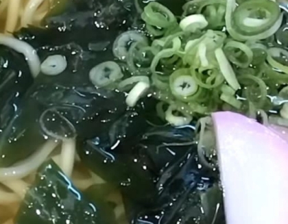 ➿わかめうどん➿