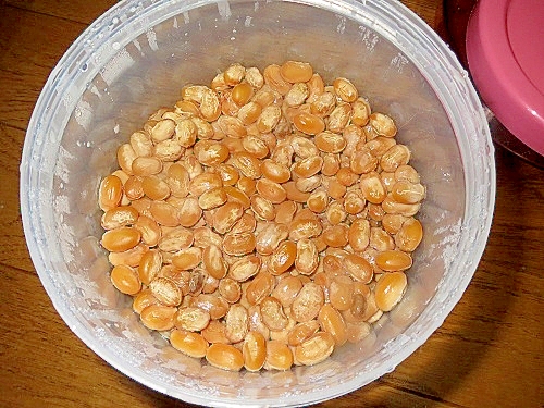 ヨーグルティア使用◎圧力鍋で時短!自家製納豆作り♪