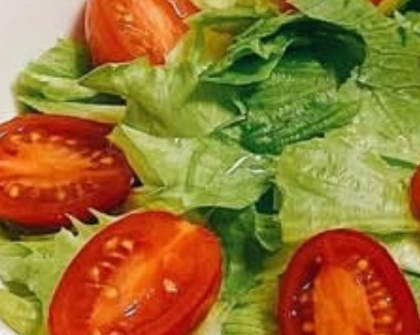 フリルレタス赤茎ほうれん草トマトのヘルシーサラダ