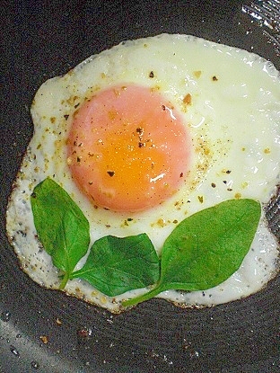 なんだかかわいい！　❤ホウレン草添え目玉焼き❤