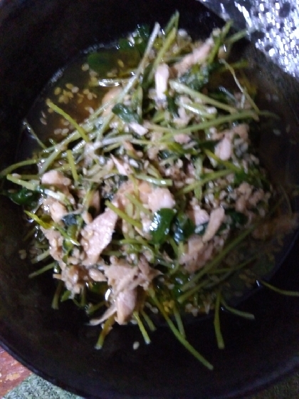 豆苗とツナのサラダ