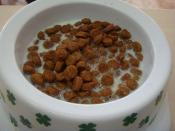 超簡単犬の朝ごはん きな粉ミルク レシピ 作り方 By ふじこ103 楽天レシピ 超簡単犬の朝ごはん きな粉ミルク レシピ 作り方 By ふじこ103 楽天レシピ