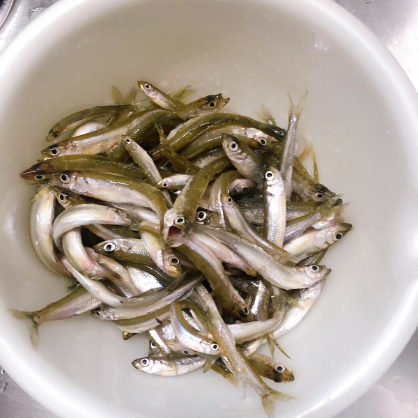 包丁なしでワカサギの簡単下処理 レシピ 作り方 By Chaika 楽天レシピ 包丁なしでワカサギの簡単下処理 レシピ 作り方 By Chaika 楽天レシピ