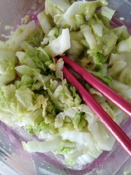 アボカドと白菜のコンソメサラダ