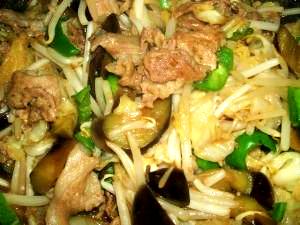 秋茄子入り、お野菜たっぷり・ご飯モリモリ中華風炒め