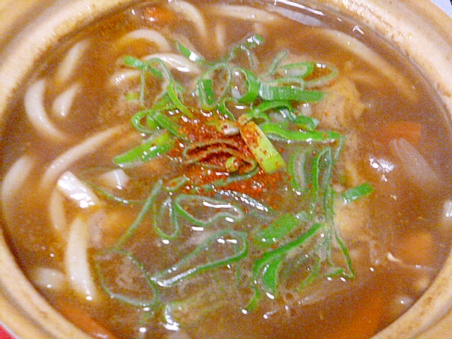 残ったカレーアレンジ♪たっぷりねぎ和風カレーうどん