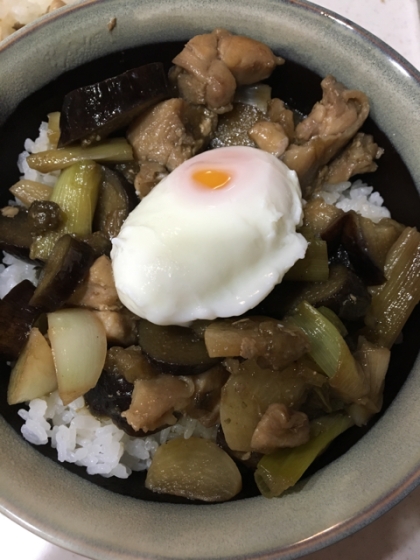 焼き鳥丼にしてみました！美味しかったです(^^)