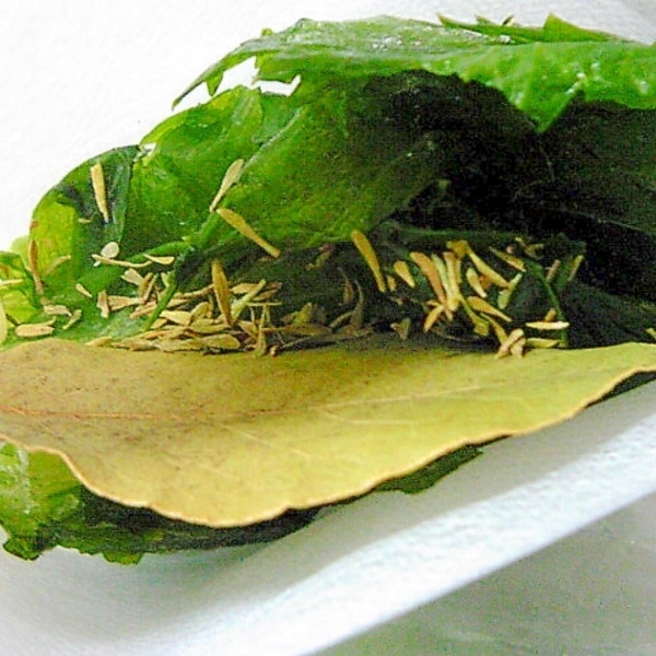 セロリ パセリでブーケガルニ レシピ 作り方 By Bebe2936 楽天レシピ セロリ パセリでブーケガルニ レシピ 作り方 By Bebe2936 楽天レシピ