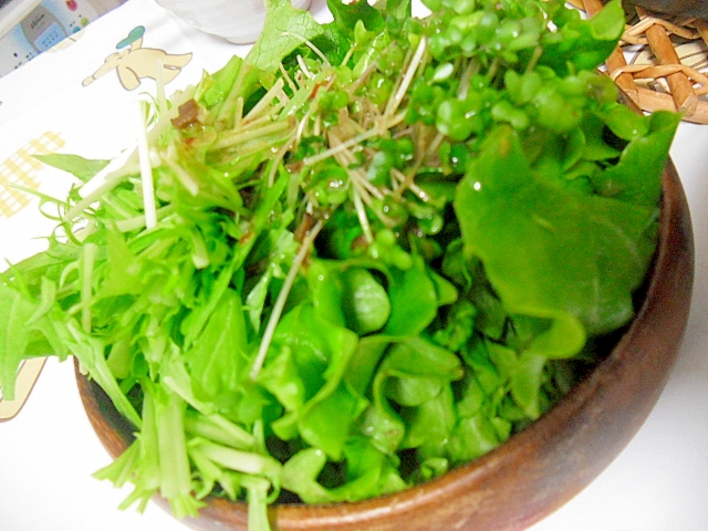 ブロッコリースプラウトのグリーンサラダ