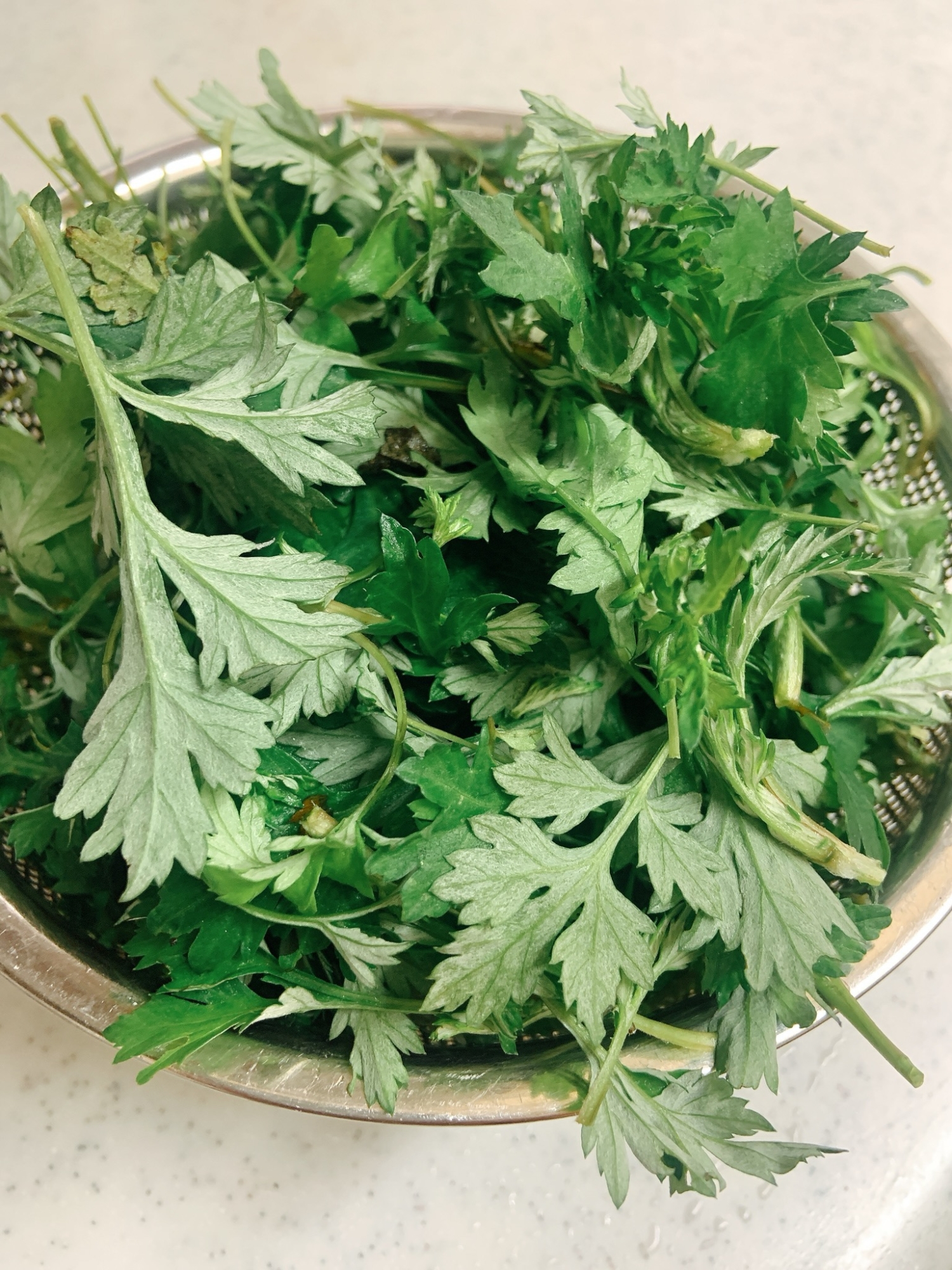 よもぎのアク抜き レシピ 作り方 By Sakkuu 楽天レシピ よもぎのアク抜き レシピ 作り方 By Sakkuu 楽天レシピ