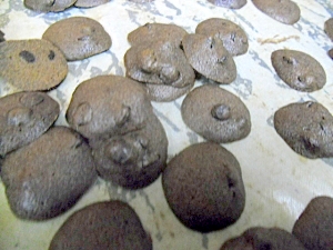 チョコチップココアクッキー