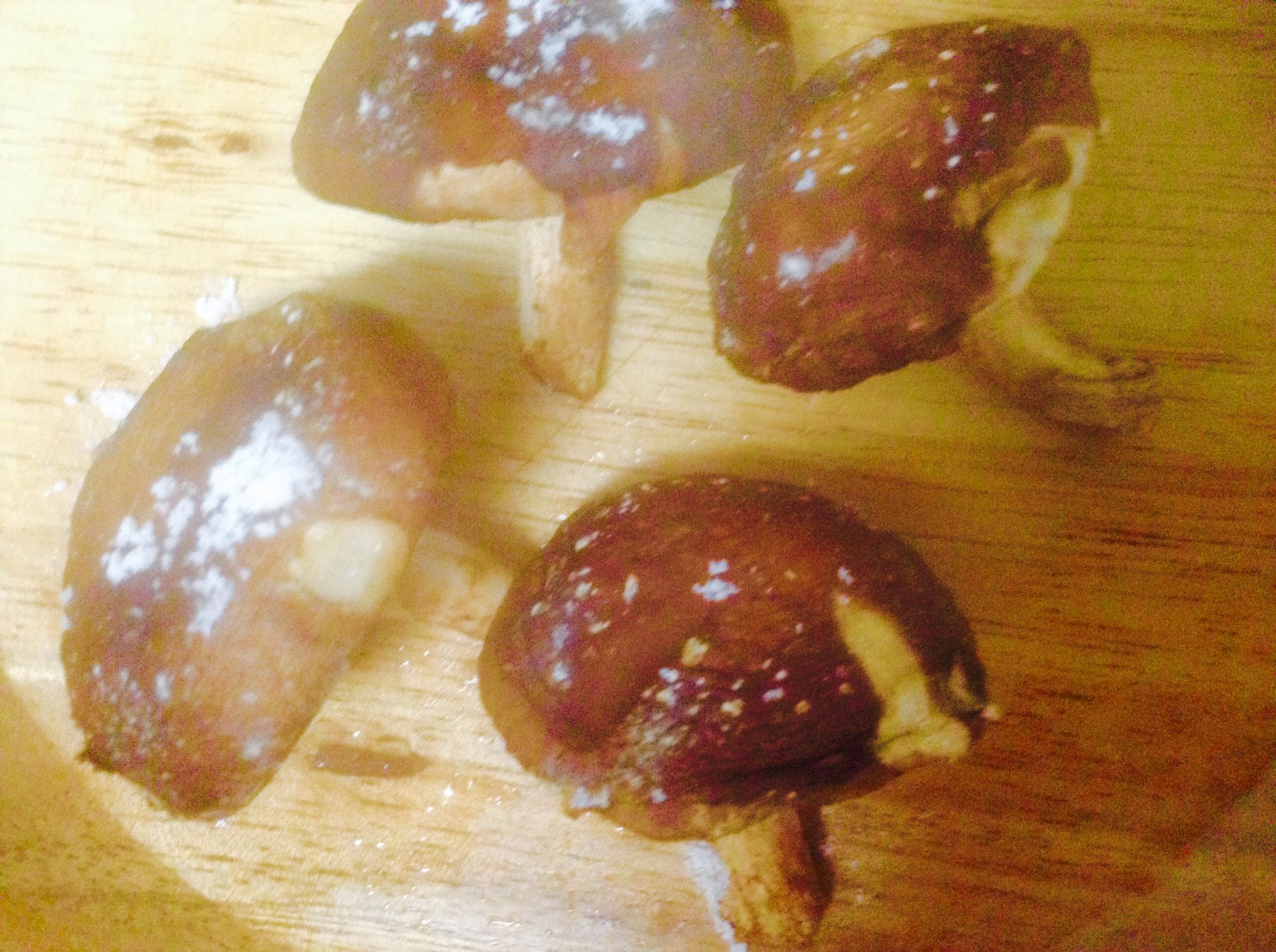 豪華☆丹波篠山焼きしいたけ(^^)