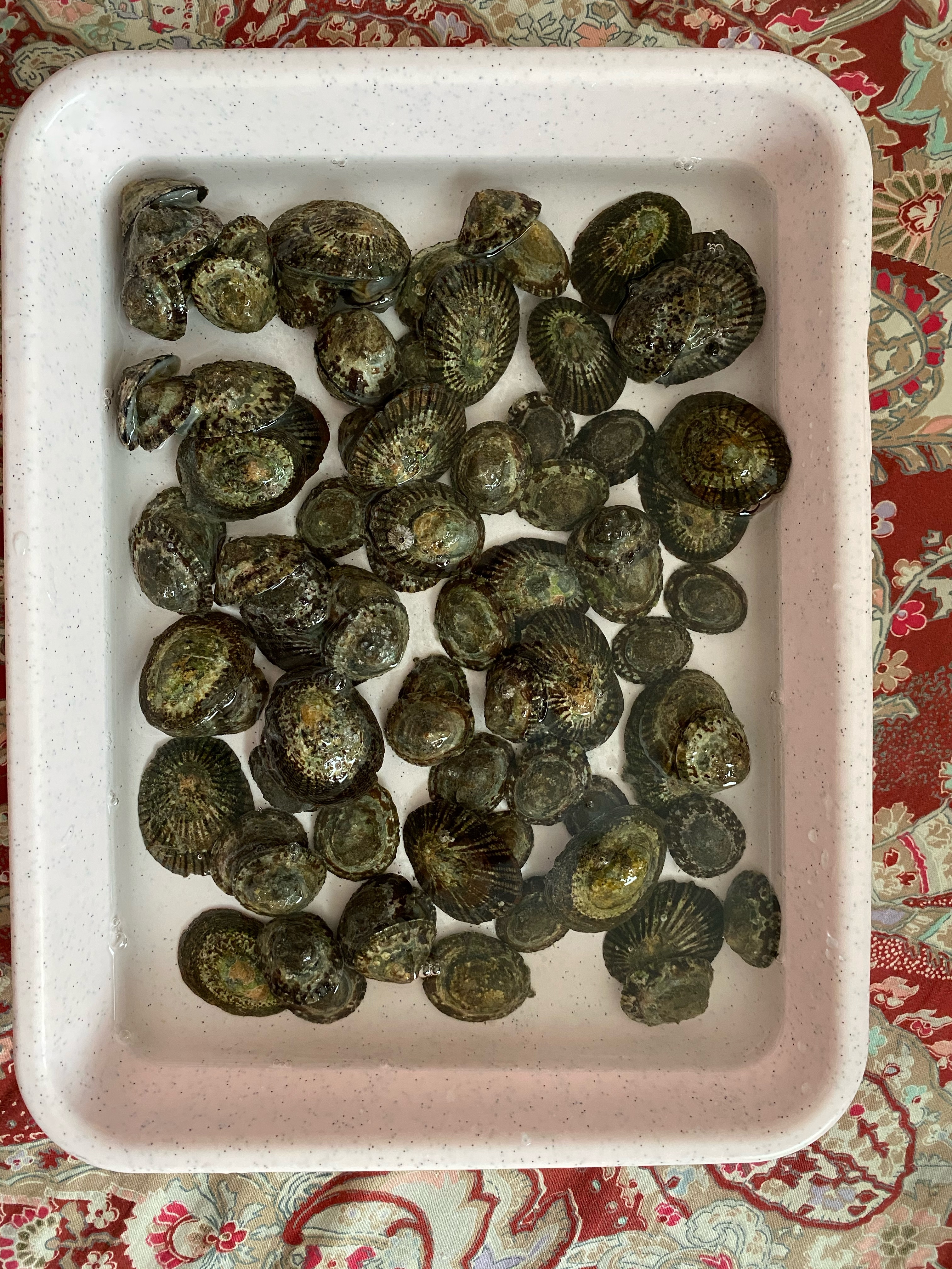 マツバガイの煮付け レシピ 作り方 By Misakitchen 楽天レシピ マツバガイの煮付け レシピ 作り方 By Misakitchen 楽天レシピ