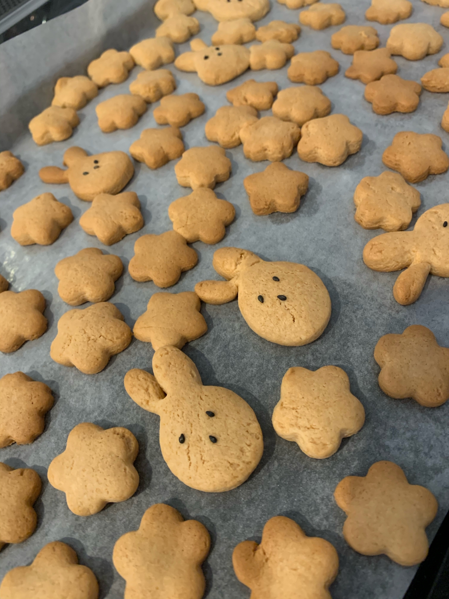 子供とホットケーキミックスで作る 簡単クッキー レシピ 作り方 By Mama Shark 楽天レシピ