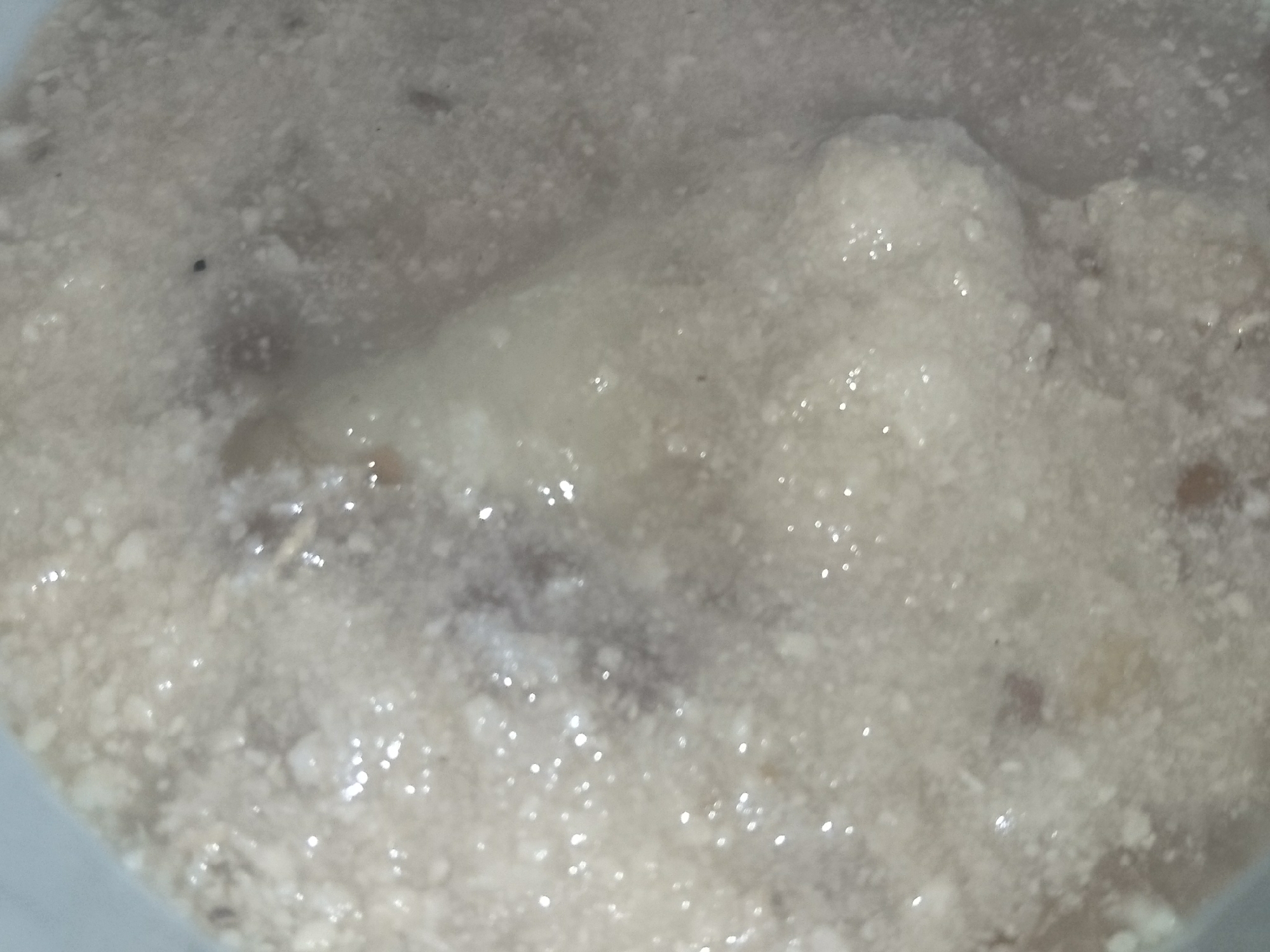 皮付きレンズ豆餅(冷凍)乾燥おから玄米ご飯お粥