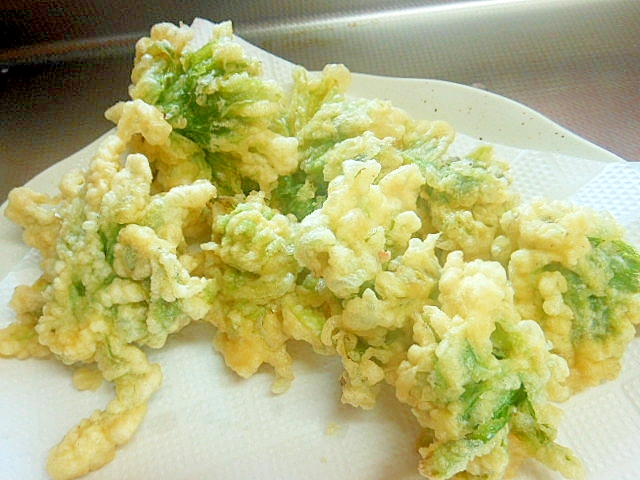 春の訪れ❤ふきっ玉(蕗の薹)の天ぷら