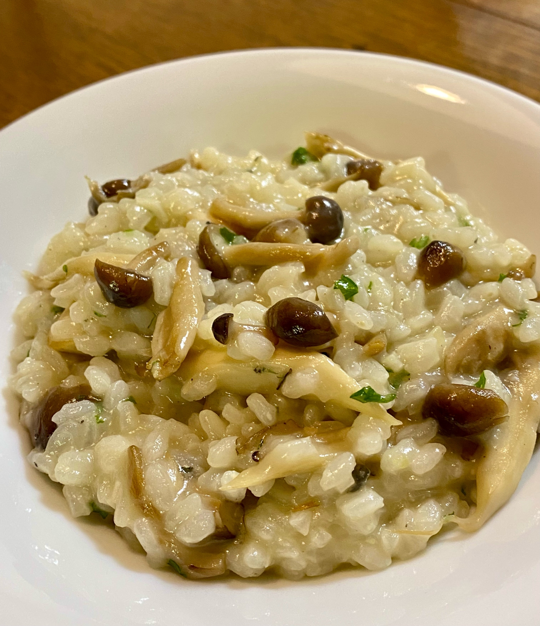 レストラン級!☀️きのことゴルゴンゾーラのリゾット