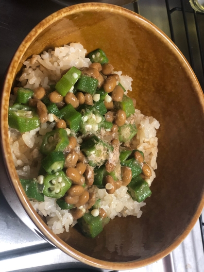 納豆とオクラのネバネバ丼