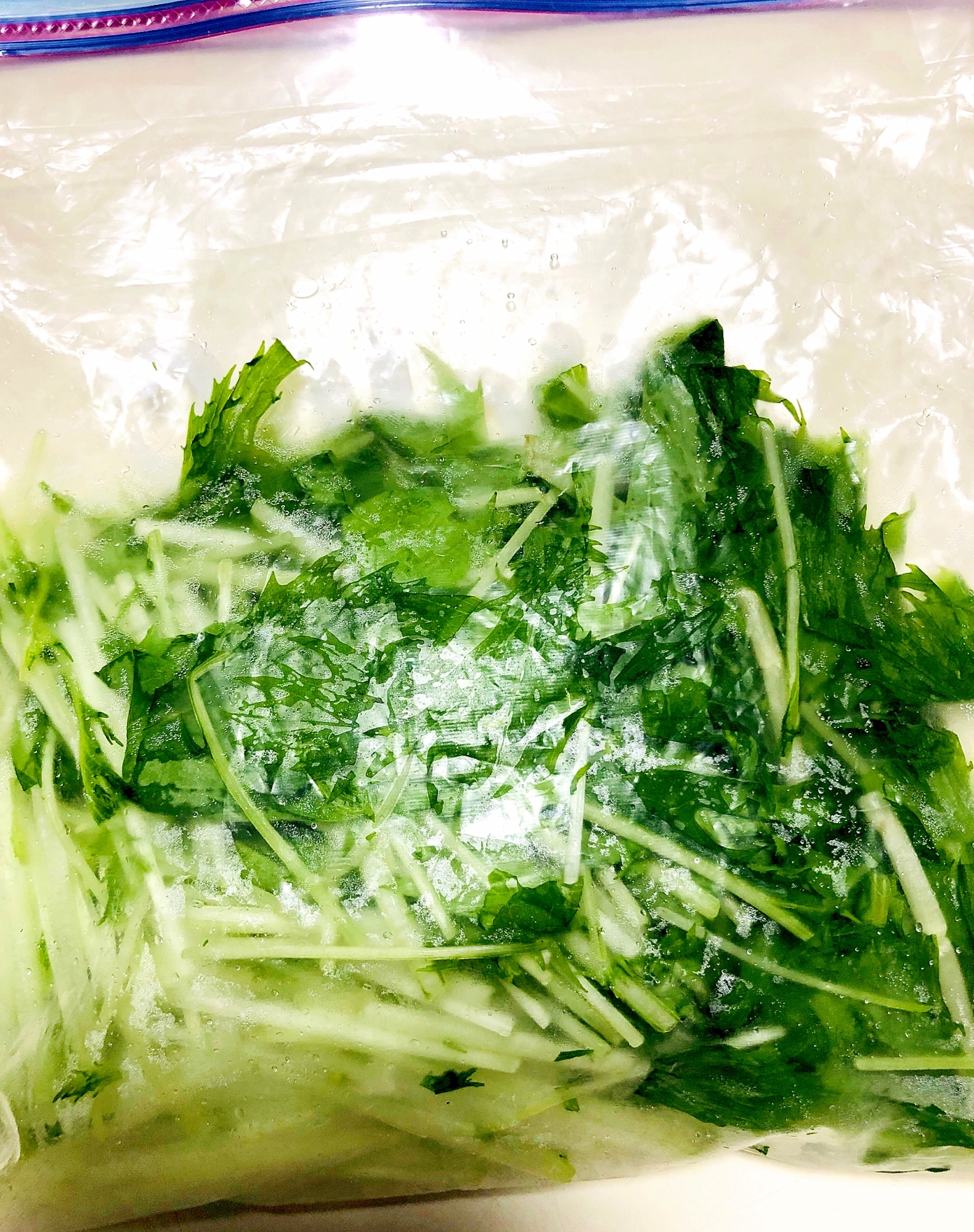 水菜の冷凍保存方法